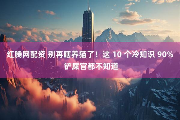 红腾网配资 别再瞎养猫了！这 10 个冷知识 90% 铲屎官都不知道