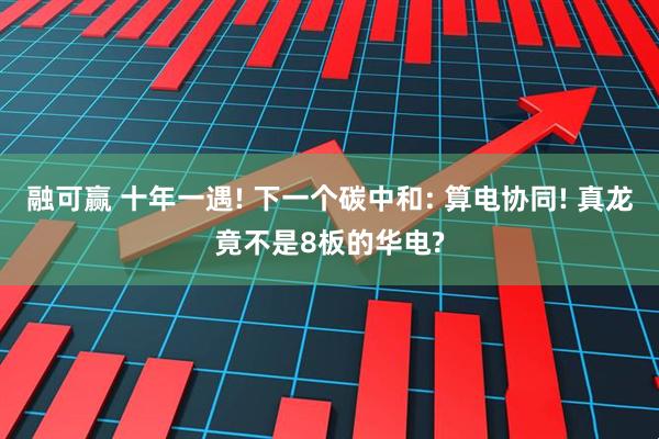 融可赢 十年一遇! 下一个碳中和: 算电协同! 真龙竟不是8板的华电?