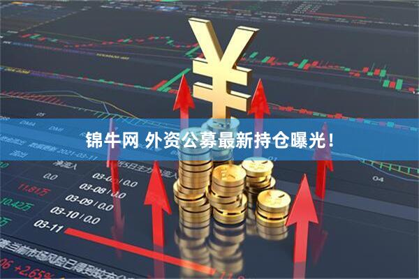 锦牛网 外资公募最新持仓曝光！