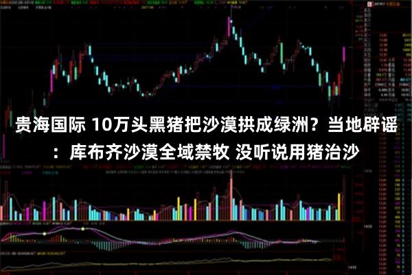贵海国际 10万头黑猪把沙漠拱成绿洲？当地辟谣：库布齐沙漠全域禁牧 没听说用猪治沙