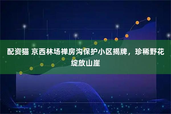 配资猫 京西林场禅房沟保护小区揭牌，珍稀野花绽放山崖