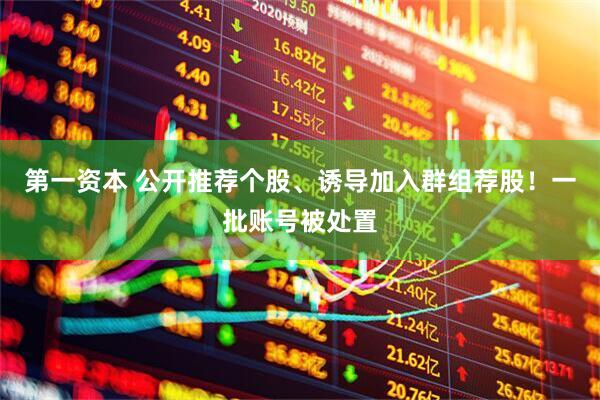 第一资本 公开推荐个股、诱导加入群组荐股！一批账号被处置