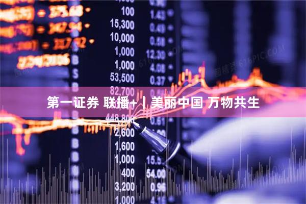 第一证券 联播+｜美丽中国 万物共生
