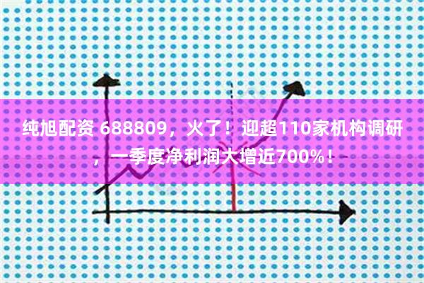 纯旭配资 688809，火了！迎超110家机构调研，一季度净利润大增近700%！