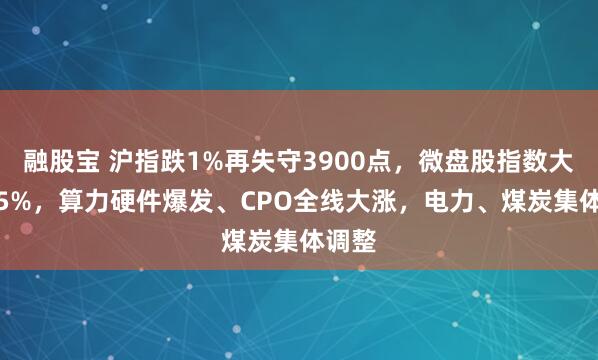 融股宝 沪指跌1%再失守3900点，微盘股指数大跌3.5%，算力硬件爆发、CPO全线大涨，电力、煤炭集体调整